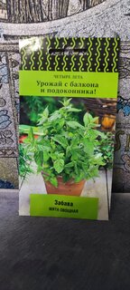 Семена Мята, Овощная Забава, 20 шт, Четыре лета, цветная упаковка, Поиск - фото 1 от пользователя