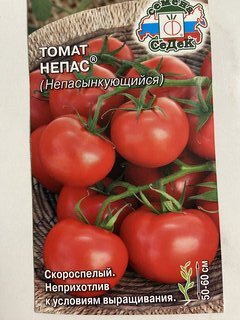 Семена Томат, Непас Непасынкующийся, 0.1 г, цветная упаковка, Седек - фото 1 от пользователя