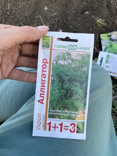 Семена Укроп, Аллигатор, 4 г, Семена от автора, Лидер 1+1=3, цветная упаковка, Гавриш - фото 8 от пользователя