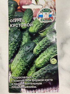 Семена Огурец, Кустовой, 0.5 г, цветная упаковка, Седек - фото 1 от пользователя