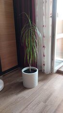 Горшок для цветов пластик, 9.5 л, 28х27 см, с вставкой, белый ротанг, Idea, Этна, М 3184 - фото 2 от пользователя