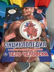 Энциклопедия Умка, Тело Человека, А4, с вырубкой на обложке, 978-5-506-04648-6 - фото 5 от пользователя