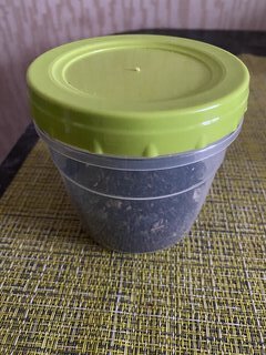 Банка для сыпучих продуктов, пластик, 0.5 л, 10 см, с крышкой, Полимербыт, С432, в ассортименте - фото 4 от пользователя