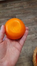 Фрукт декоративный мандарин, 8 см, Y4-2678 - фото 9 от пользователя