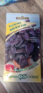 Семена Базилик, Философ, 0.3 г, Семена от автора, цветная упаковка, Гавриш - фото 1 от пользователя