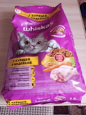 Корм для животных Whiskas, 1900 г, для взрослых кошек 1+, сухой, курица/индейка, подушечки с паштетом, пакет - фото 4 от пользователя