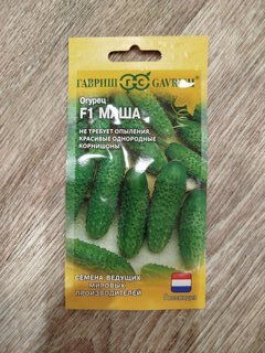 Семена Огурец, Маша F1, корнишон, цветная упаковка, Гавриш - фото 3 от пользователя