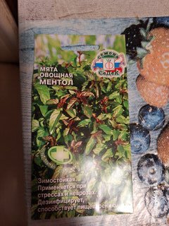 Семена Мята, Овощная Ментол, цветная упаковка, Седек - фото 3 от пользователя