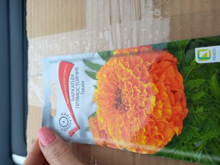Семена Цветы, Бархатцы, Гавайи, 0.4 г, цветная упаковка, Поиск - фото 7 от пользователя