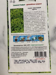 Семена Салат листовой, Удача, 0.5 г, цветная упаковка, Седек - фото 3 от пользователя