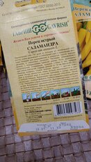 Семена Перец острый, Саламандра, 0.1 г, Семена от автора, авторские, цветная упаковка, Гавриш - фото 3 от пользователя