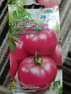 Семена Томат, Непас 2 непасынкующийся малиновый F1, цветная упаковка, Седек - фото 9 от пользователя