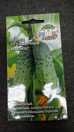 Семена Огурец, Сахарный Малыш F1, 0.2 г, цветная упаковка, Седек - фото 4 от пользователя