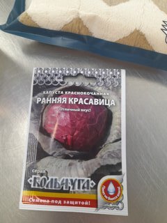Семена Капуста краснокочанная, Ранняя красавица, 0.5 г, Кольчуга, цветная упаковка, Русский огород - фото 3 от пользователя