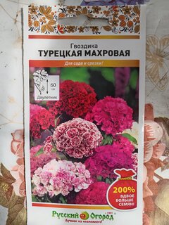 Семена Цветы, Гвоздика турецкая, Махровая, 1 г, 200%, смесь, цветная упаковка, Русский огород - фото 8 от пользователя