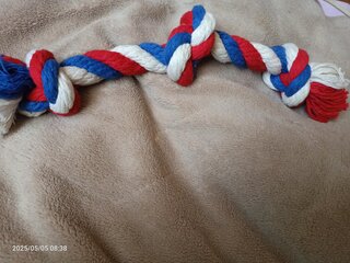 Игрушка 3 узла, диаметр 16 мм, Зооник, Канат, 35-37 см, 16467 - фото 3 от пользователя
