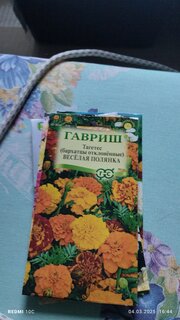 Семена Цветы, Бархатцы, Веселая полянка Тагетес, 0.3 г, отклоненные, цветная упаковка, Гавриш - фото 4 от пользователя