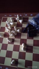 Игра настольная Шахматы, 29х29 см, дерево, пластик, 539-016 - фото 2 от пользователя