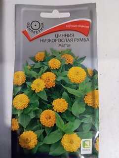 Семена Цветы, Цинния, Румба Жёлтая, 0.1 г, низкорослая, многоцветковая, красная, цветная упаковка, Поиск - фото 5 от пользователя