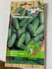 Семена Огурец, Вязниковский, 0.5 г, Даешь урожай, 37 о/г, цветная упаковка, Седек - фото 6 от пользователя