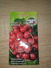 Семена Редис, Аленка, 2 г, цветная упаковка, Седек - фото 4 от пользователя