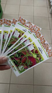 Семена Цветы, Колеус, Радуга, 0.05 г, Зеленый дом, смесь, цветная упаковка, Русский огород - фото 1 от пользователя
