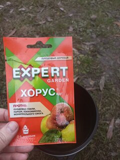 Фунгицид Хорус, от болезней плодовых культур, 2 г, Expert Garden - фото 1 от пользователя