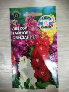 Семена Цветы, Левкой, Тайное свидание, 0.1 г, карликовый, смесь окрасок, цветная упаковка, Седек - фото 6 от пользователя