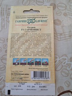 Семена Огурец, Гармонист F1, Семена от автора, цветная упаковка, Гавриш - фото 8 от пользователя