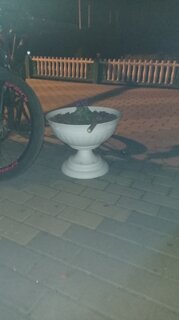 Вазон для цветов пластик, 17 л, 44.5х35 см, белый, Альтернатива, Венеция, М 3128 - фото 2 от пользователя