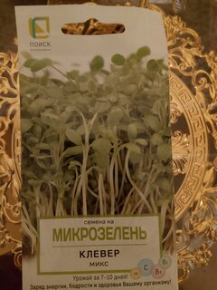 Семена Микрозелень, Рукола, 5 г, цветная упаковка, Поиск - фото 1 от пользователя