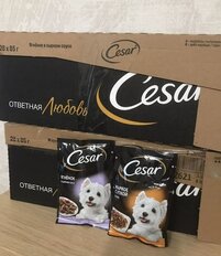 Корм для животных Cesar, 85 г, для собак, кусочки в соусе, ягненок с овощами, F5873 - фото 6 от пользователя