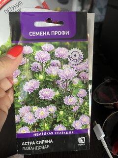 Семена Цветы, Астра, Сирена Лавандовая, 0.05 г, цветная упаковка, Поиск - фото 4 от пользователя