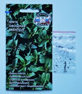 Семена Мята, Овощная Ментол, цветная упаковка, Седек - фото 5 от пользователя