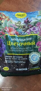 Грунт Цветочный, для комнатных растений, 10 л, Фаско - фото 8 от пользователя