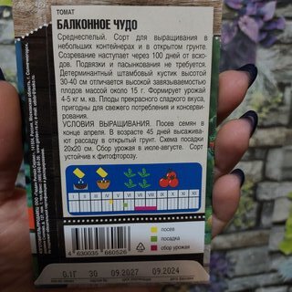 Семена Томат, Балконное Чудо, 0.1 г, цветная упаковка, Тимирязевский питомник - фото 6 от пользователя