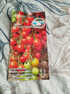 Семена Томат, Дюймовочка, 0.05 г, цветная упаковка, Русский огород - фото 9 от пользователя