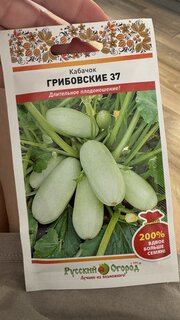 Семена Кабачок, Грибовские 37, 4 г, цветная упаковка, Русский огород - фото 1 от пользователя