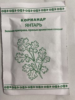 Семена Кинза, Янтарь, 2 г, белая упаковка, Русский огород - фото 6 от пользователя