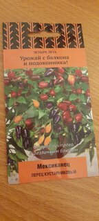 Семена Перец кустарниковый, Мексиканец, Четыре лета, цветная упаковка, Поиск - фото 4 от пользователя