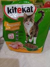 Корм для животных Kitekat, 350 г, для взрослых кошек, сухой, аппетитная курочка, пакет, 10132063 - фото 1 от пользователя