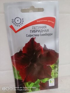 Семена Цветы, Петуния, Софистика гибридная (блекберри), цветная упаковка, Поиск - фото 4 от пользователя