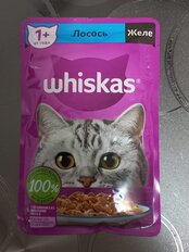 Корм для животных Whiskas, 75 г, для взрослых кошек 1+, кусочки в желе, лосось, пауч, G8461 - фото 2 от пользователя