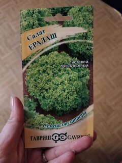 Семена Салат листовой, Ералаш, 0.5 г, Семена от автора, цветная упаковка, Гавриш - фото 8 от пользователя