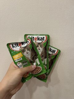 Корм для животных Kitekat, 85 г, для кошек, курица в соусе, пауч - фото 3 от пользователя