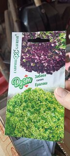 Семена Салат, Дуэт, 0.5 г, Семена от автора, Ералаш + Забава 0.5 г, цветная упаковка, Гавриш - фото 3 от пользователя