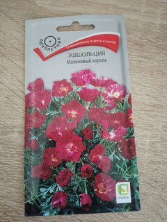 Семена Цветы, Эшшольция, Малиновый король, 0.2 г, цветная упаковка, Поиск - фото 8 от пользователя
