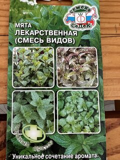 Семена Мята, Овощная Ментол, цветная упаковка, Седек - фото 8 от пользователя