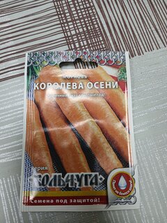Семена Морковь, Королева Осени, 2 г, Кольчуга, цветная упаковка, Русский огород - фото 2 от пользователя