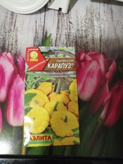 Семена Патиссон, Карапуз, 1 г, цветная упаковка, Аэлита - фото 2 от пользователя